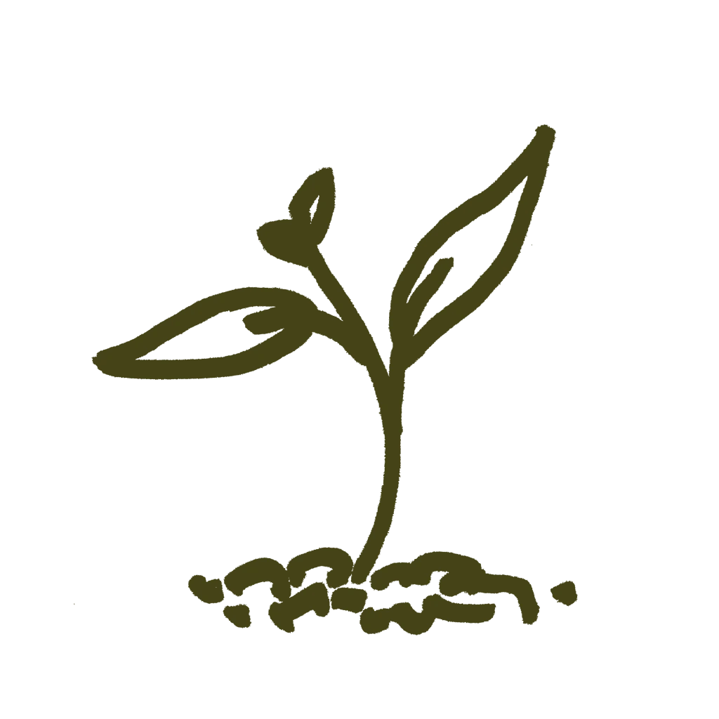 bio_ip-suisse_avocado_hex