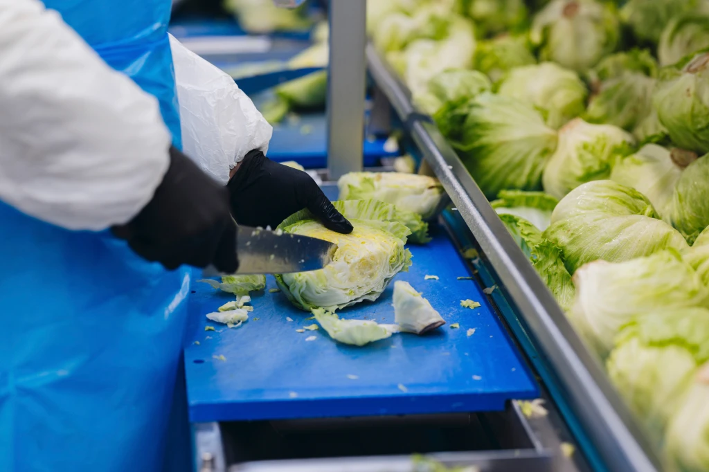 ddT_schwab-guillod_2025_11A3971_web