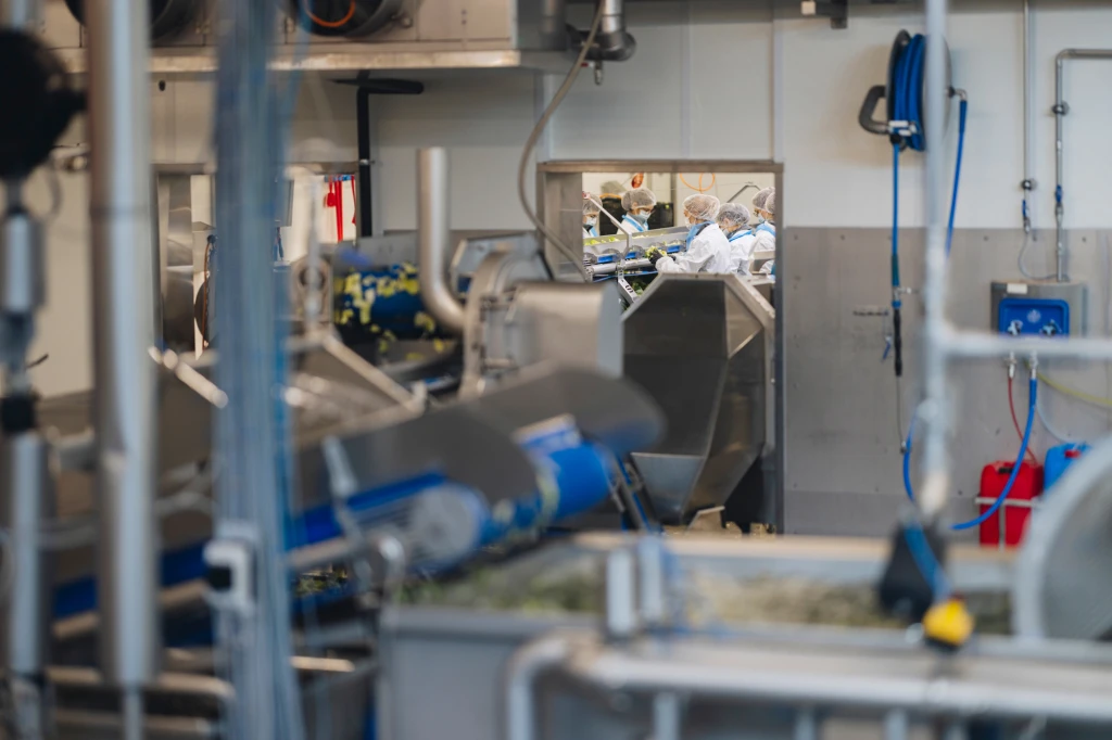 ddT_schwab-guillod_2025_11A4030_web