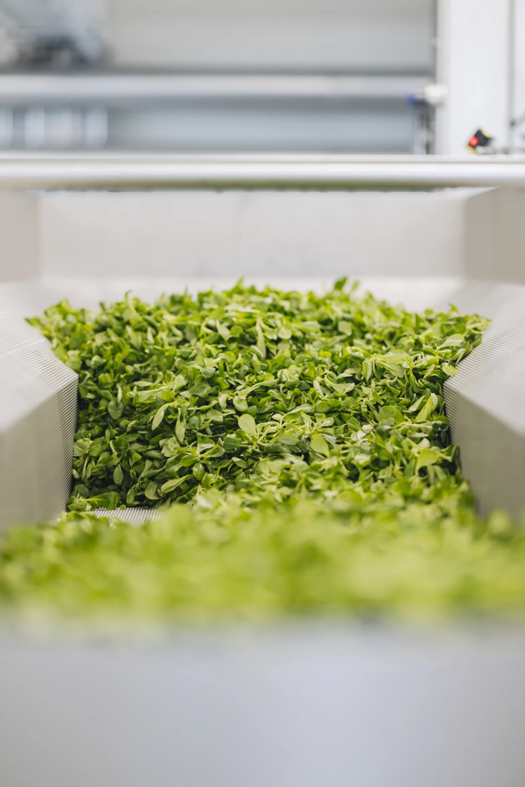 ddT_schwab-guillod_2025_11A4046_web