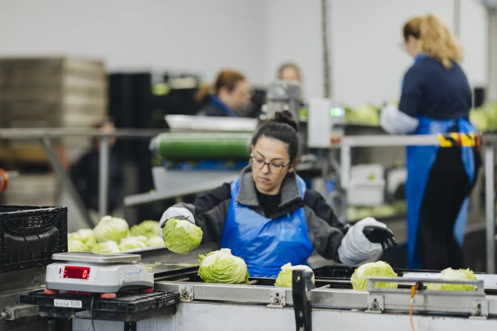 ddT_schwab-guillod_2025_11A4207_web