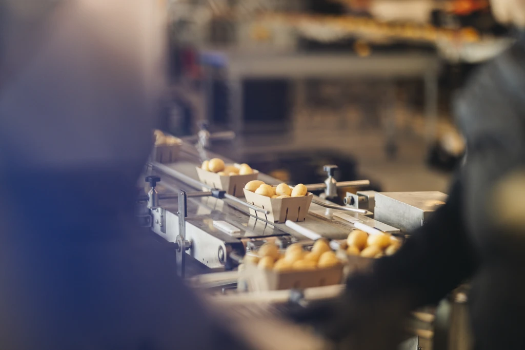 ddT_schwab-guillod_2025_11A4295_web