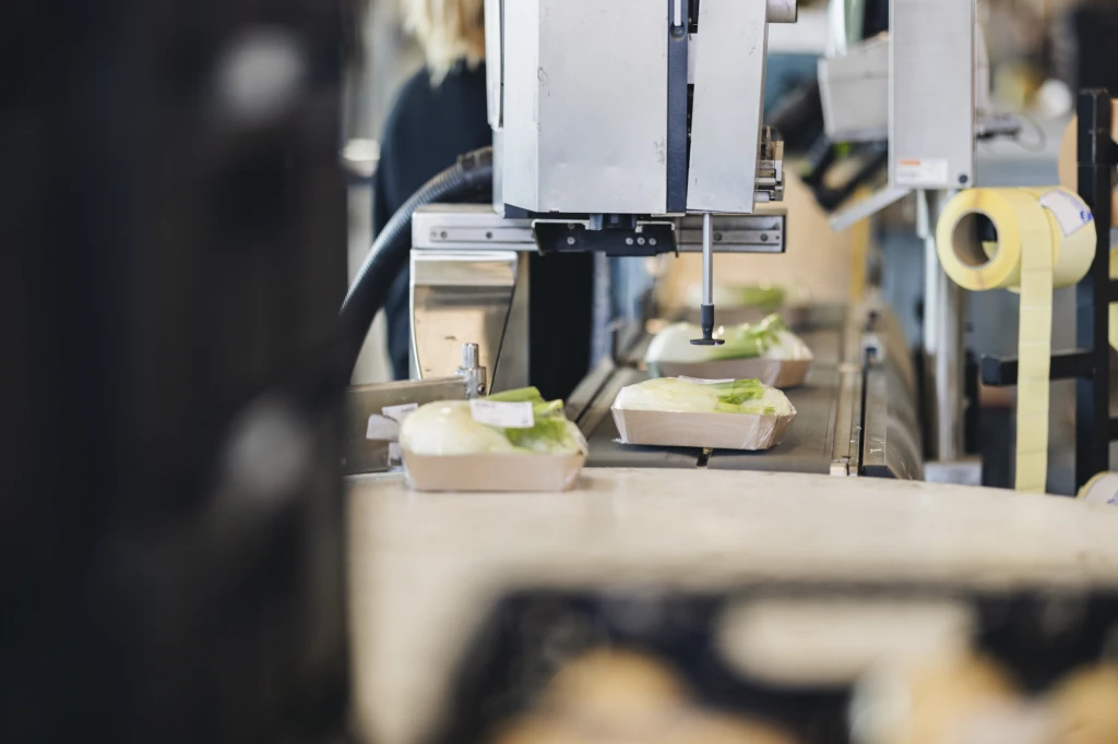 ddT_schwab-guillod_2025_11A4346_web