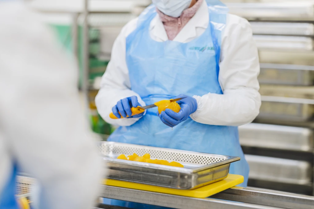 ddT_schwab-guillod_2025_11A4741_web