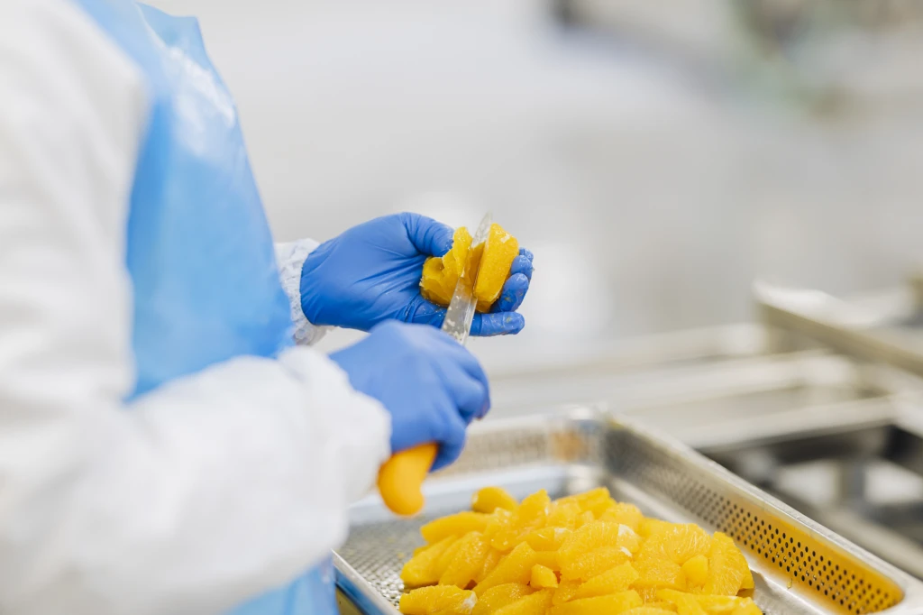 ddT_schwab-guillod_2025_11A4750_web