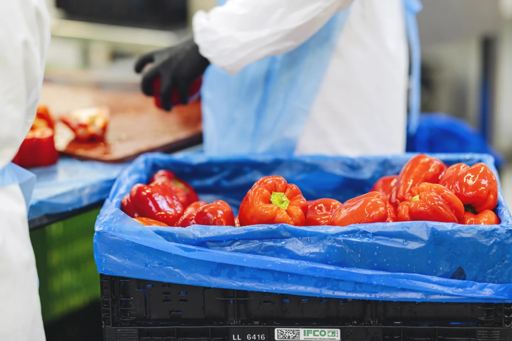 ddT_schwab-guillod_2025_11A4778_web