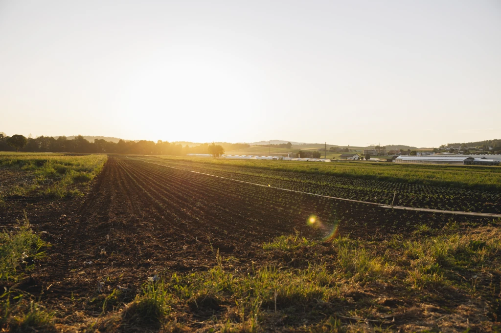 ddT_schwab-guillod_2025_O1A5734_web