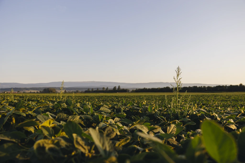 ddT_schwab-guillod_2025_O1A5736_web