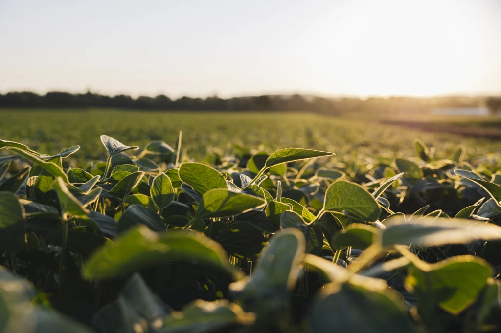 ddT_schwab-guillod_2025_O1A5743_web