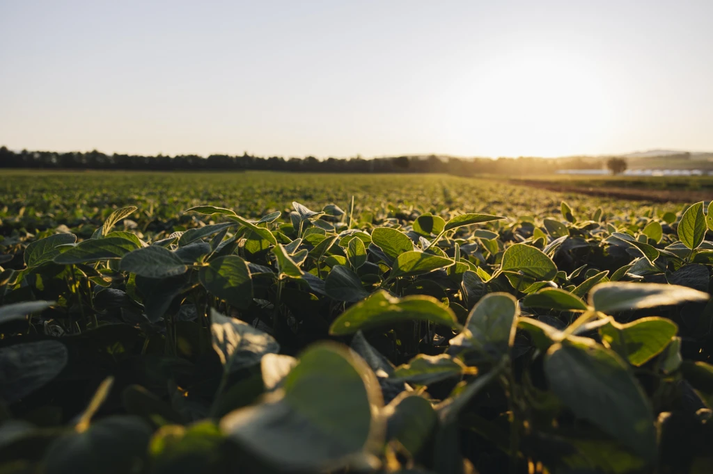 ddT_schwab-guillod_2025_O1A5746_web