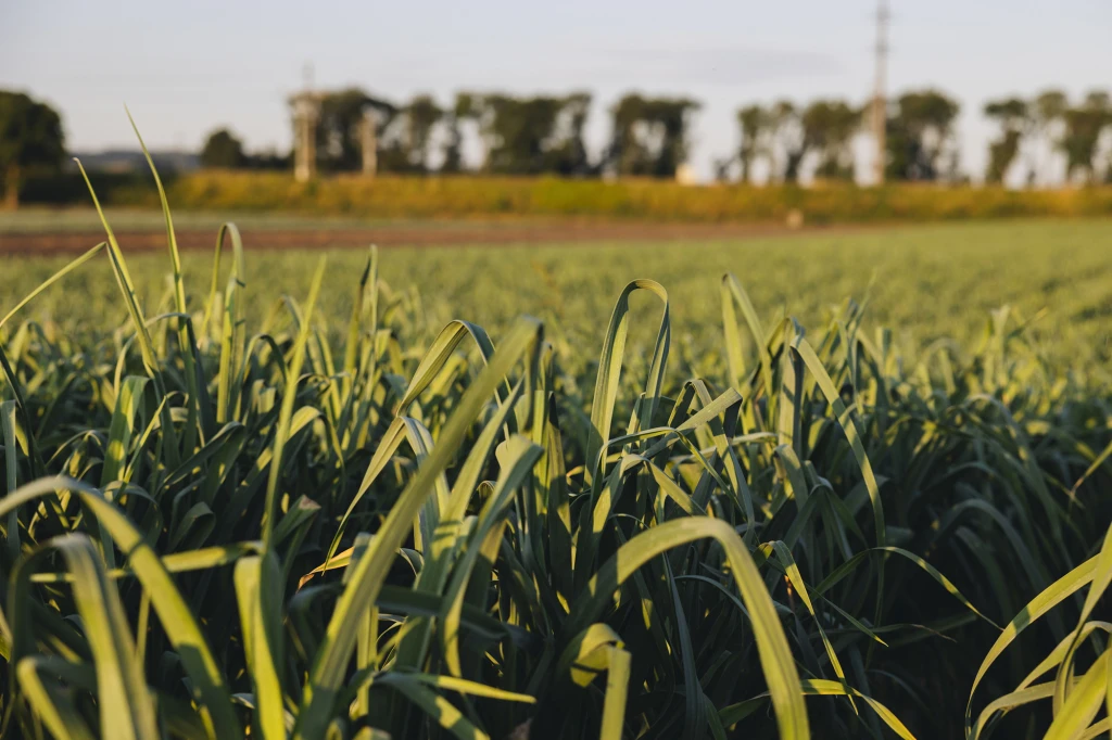 ddT_schwab-guillod_2025_O1A5758_web