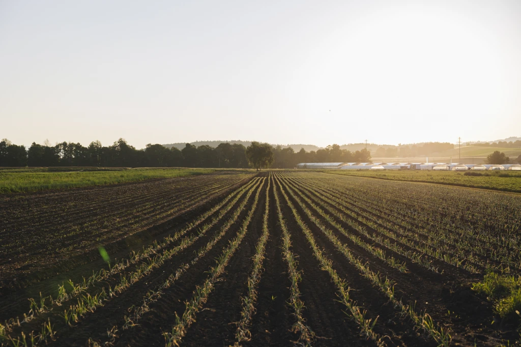 ddT_schwab-guillod_2025_O1A5795_web