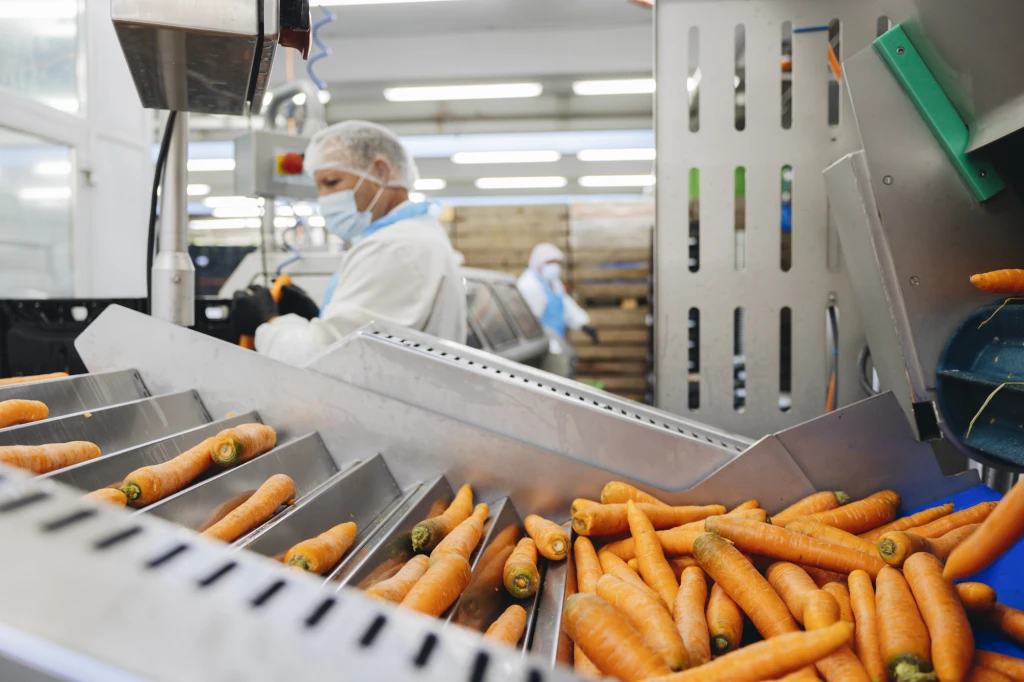 ddT_schwab-guillod_2025_O1A5935_web