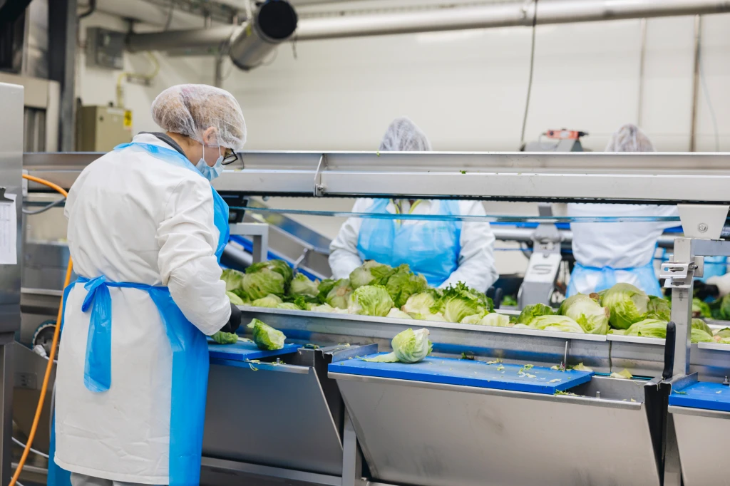 ddT_schwab-guillod_2025_O1A5982_web