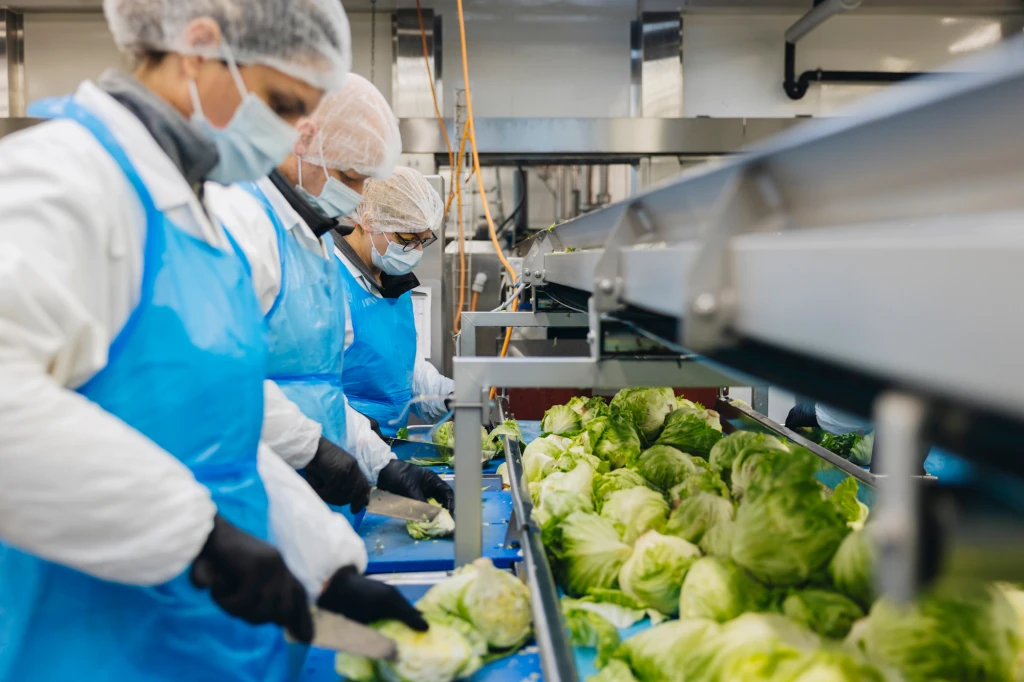 ddT_schwab-guillod_2025_O1A5994_web