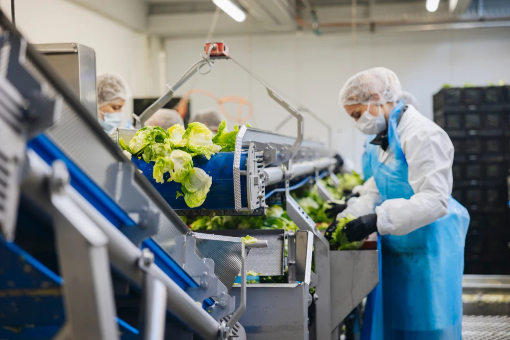 ddT_schwab-guillod_2025_O1A6009_web