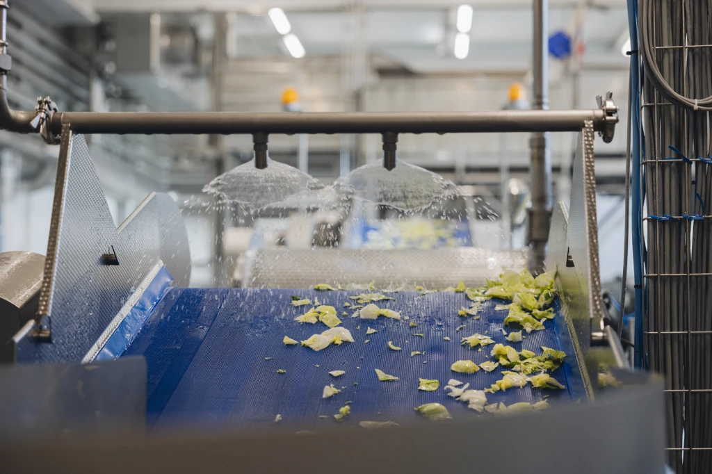 ddT_schwab-guillod_2025_O1A6071_web