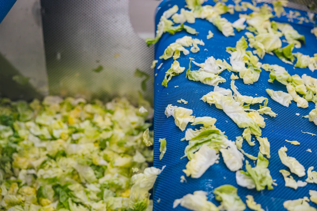 ddT_schwab-guillod_2025_O1A6081_web