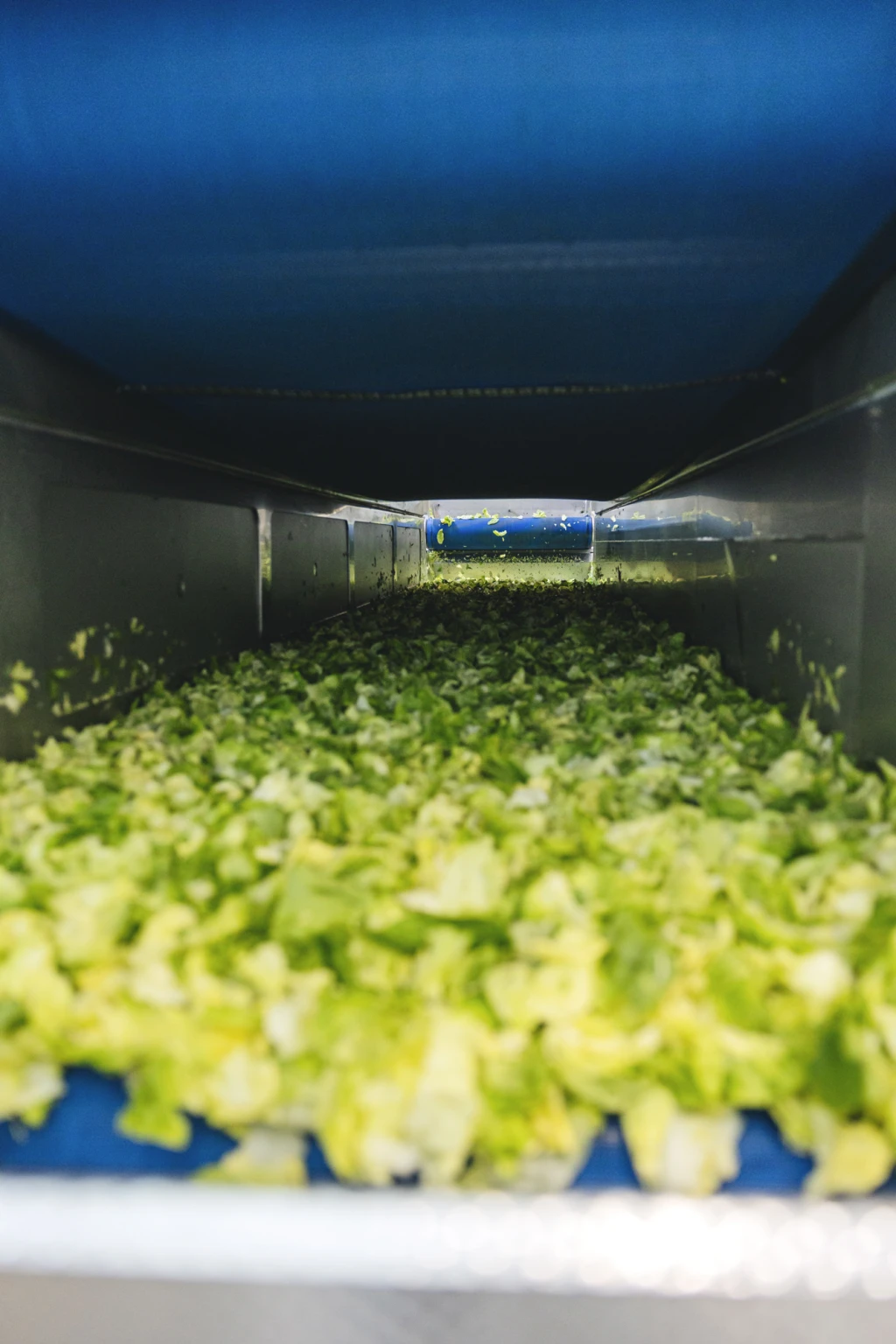 ddT_schwab-guillod_2025_O1A6098_web