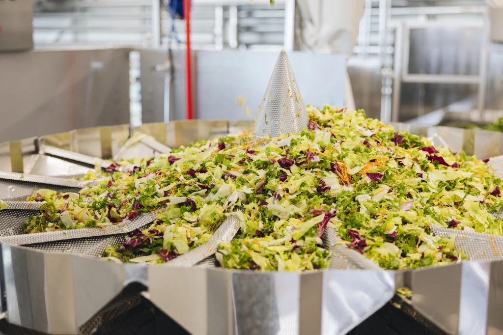 ddT_schwab-guillod_2025_O1A6106_web