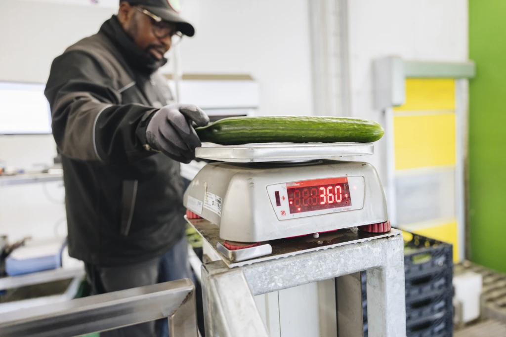 ddT_schwab-guillod_2025_O1A6215_web