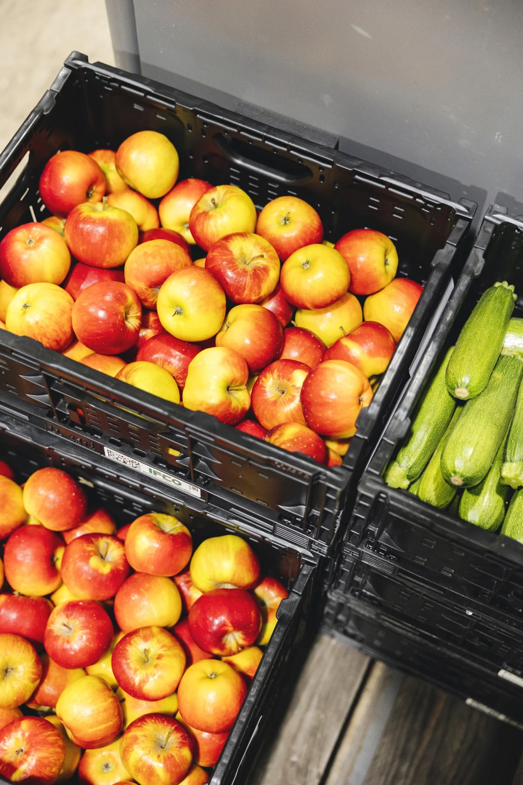 ddT_schwab-guillod_2025_O1A6274_web