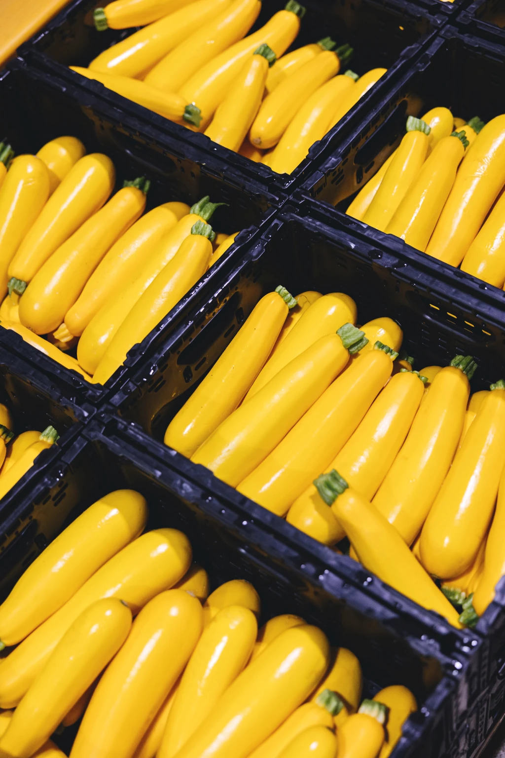 ddT_schwab-guillod_2025_O1A6318_web