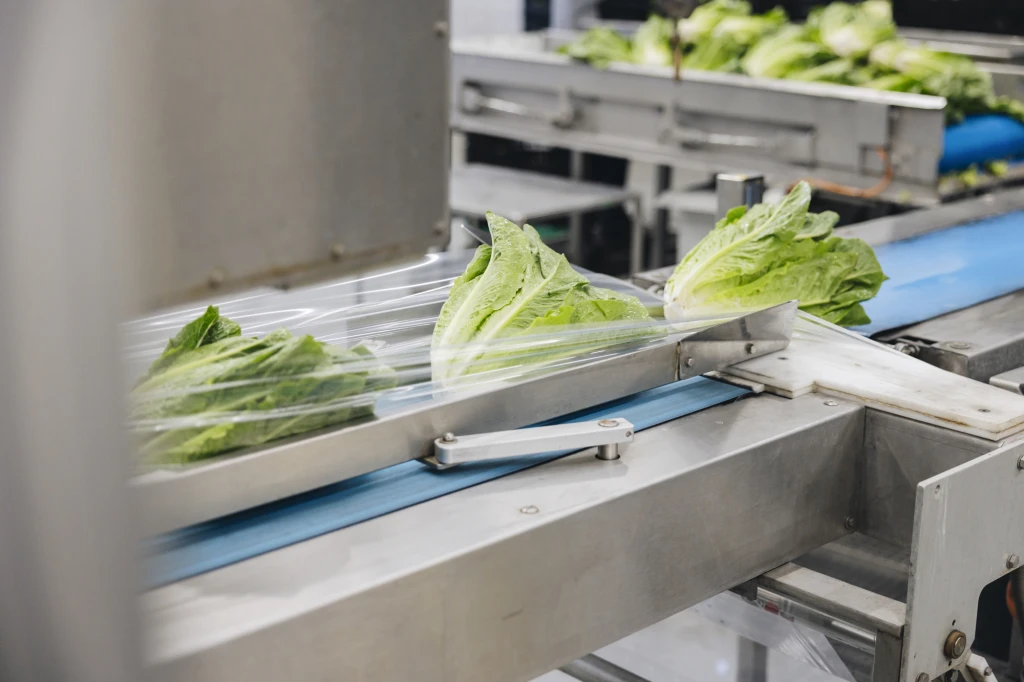 ddT_schwab-guillod_2025_O1A6437_web