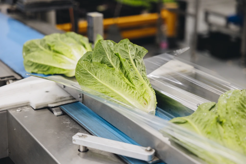 ddT_schwab-guillod_2025_O1A6442_web