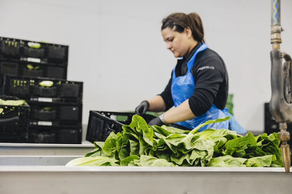 ddT_schwab-guillod_2025_O1A6457_web