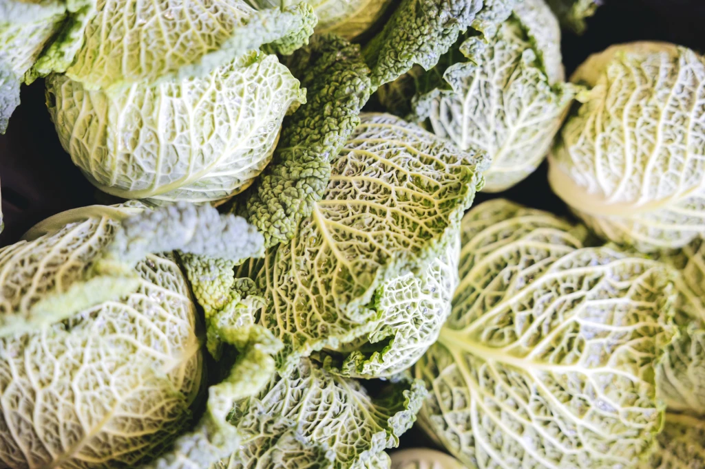 ddT_schwab-guillod_2025_O1A6470_web