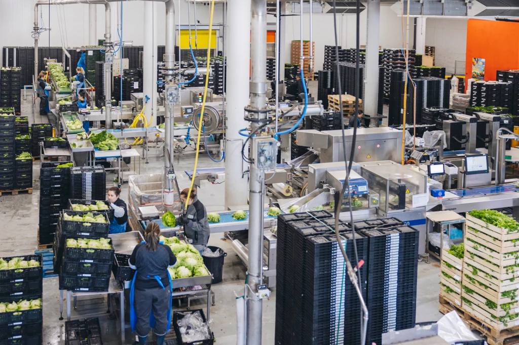 ddT_schwab-guillod_2025_O1A6479_web