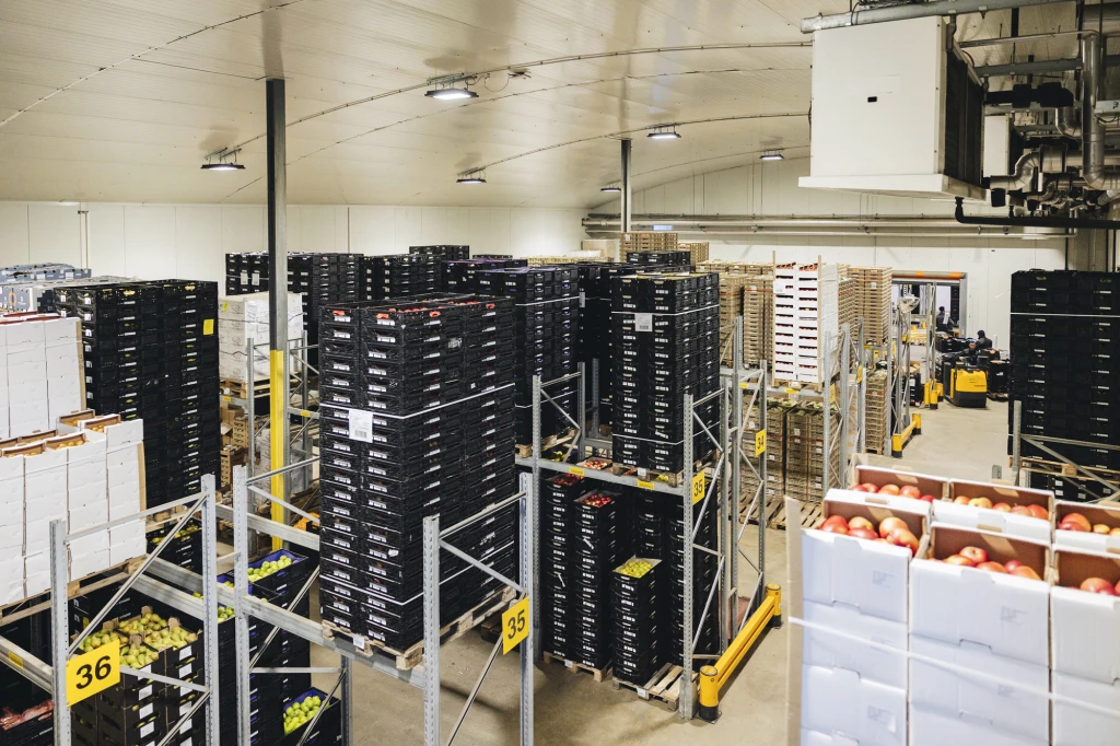 ddT_schwab-guillod_2025_O1A6729_web