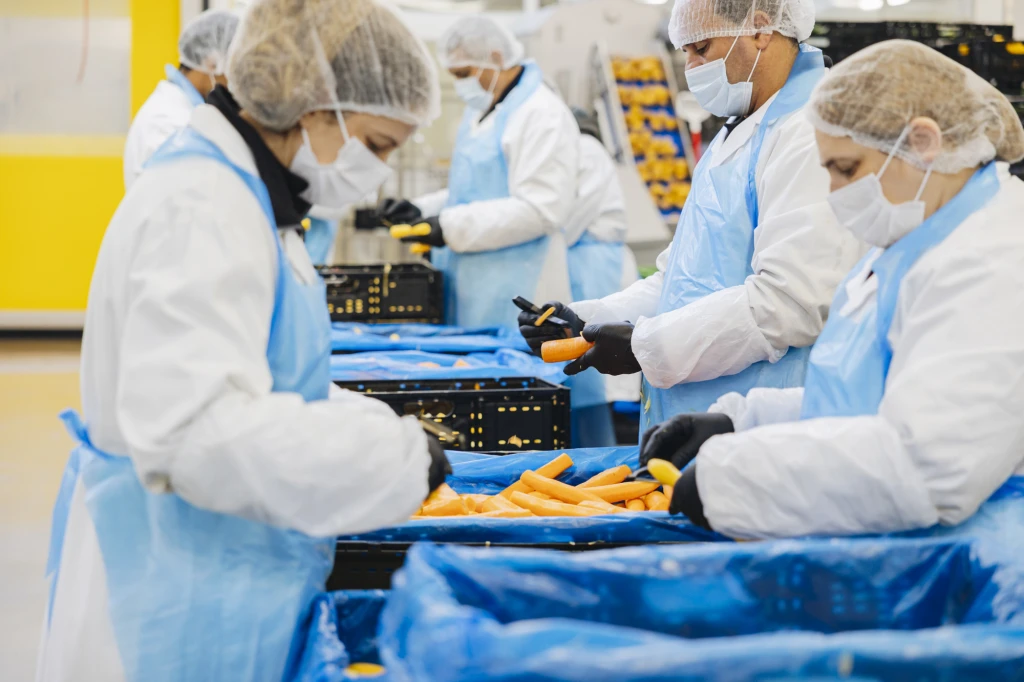 ddT_schwab-guillod_2025_O1A7187_web