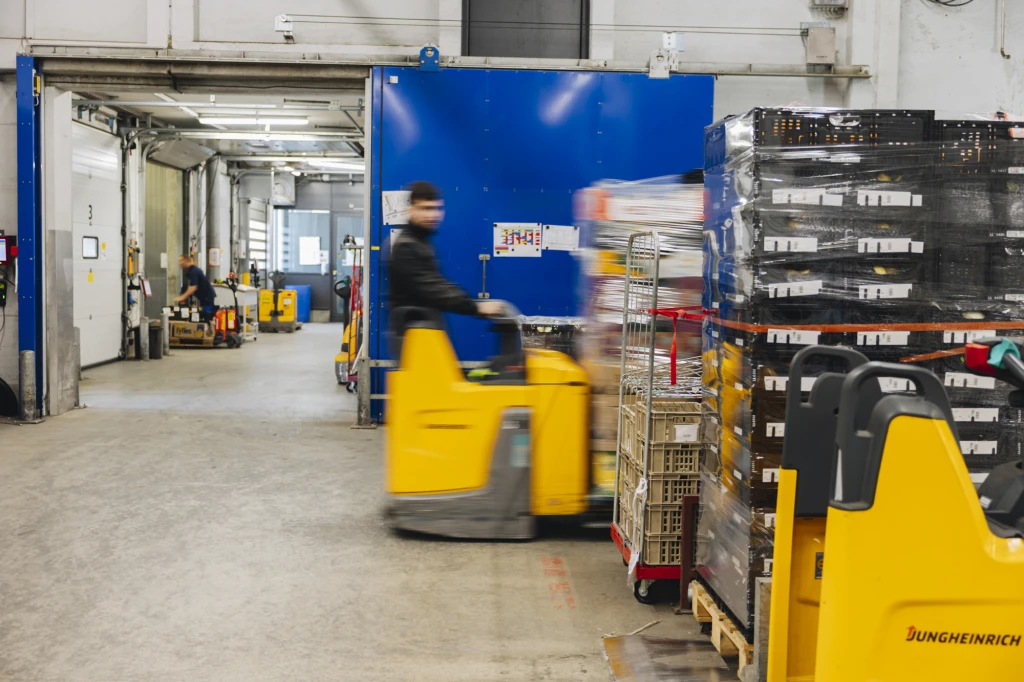 ddT_schwab-guillod_2025_O1A7417_web