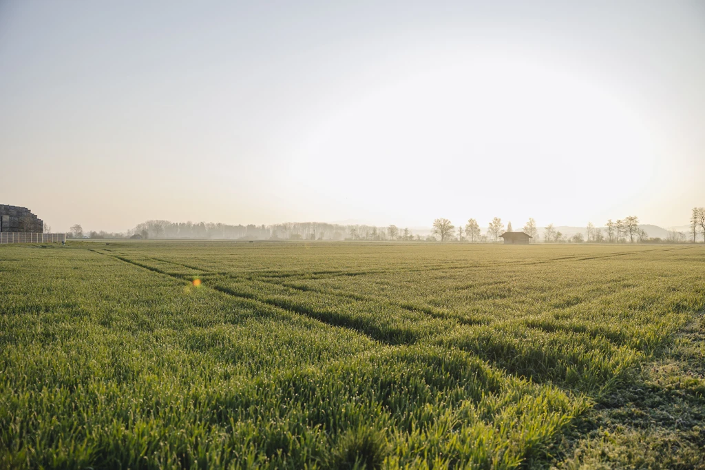 ddT_schwab-guillod_2026_0001_O1A7224_web