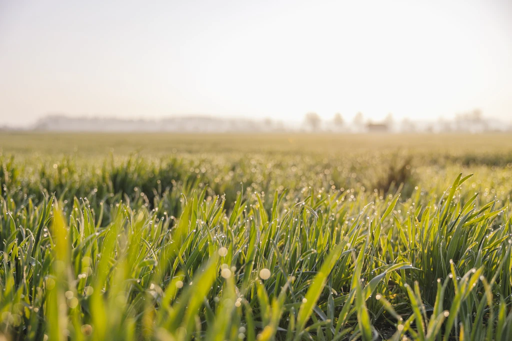 ddT_schwab-guillod_2026_0014_O1A7237_web