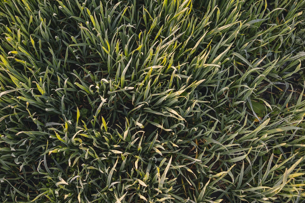 ddT_schwab-guillod_2026_0020_O1A7243_web