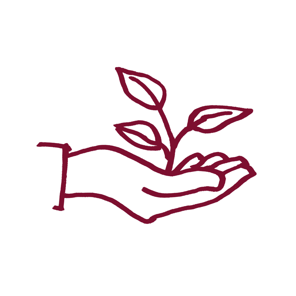 nachhaltig_mulburry_hex