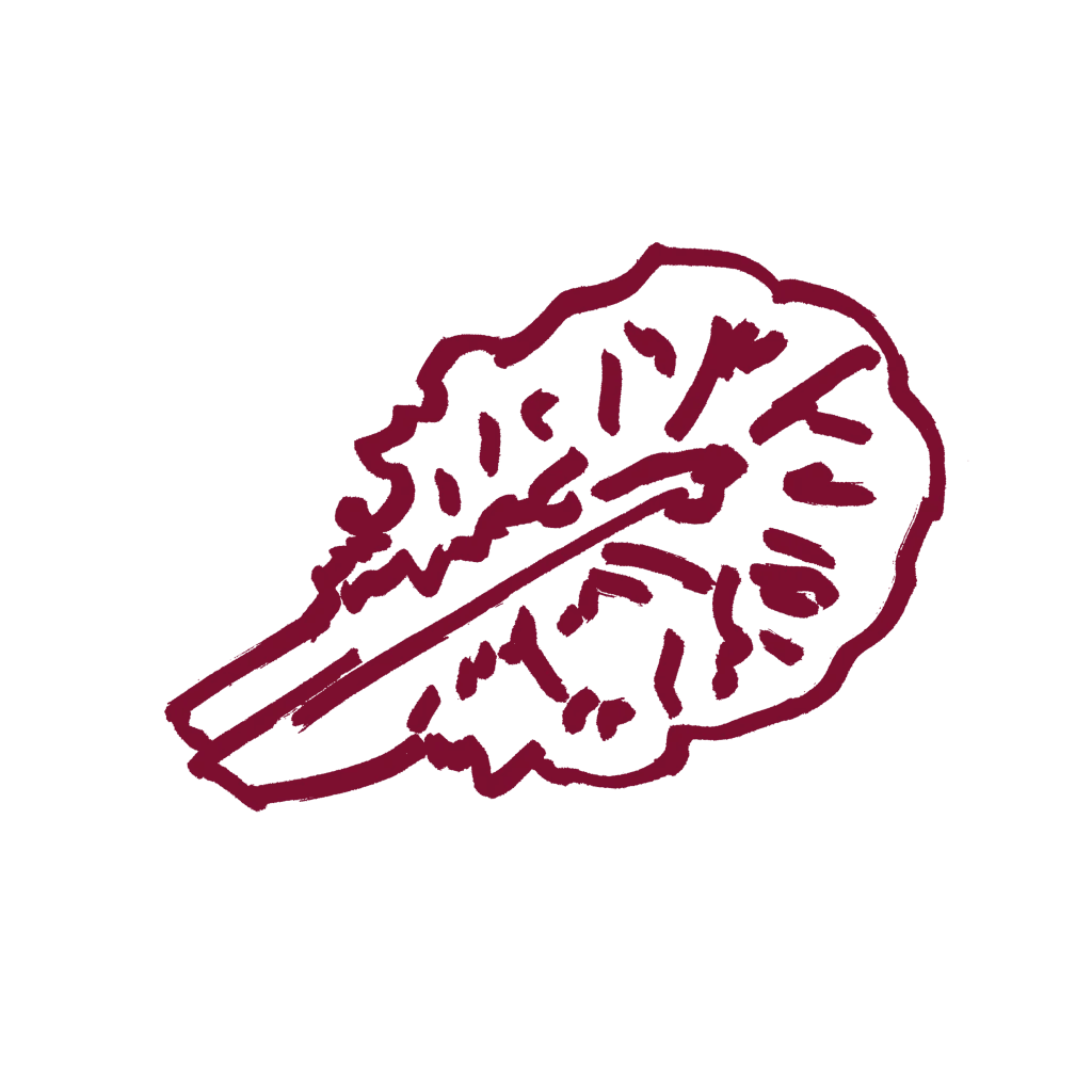 salatblatt_mulburry_hex